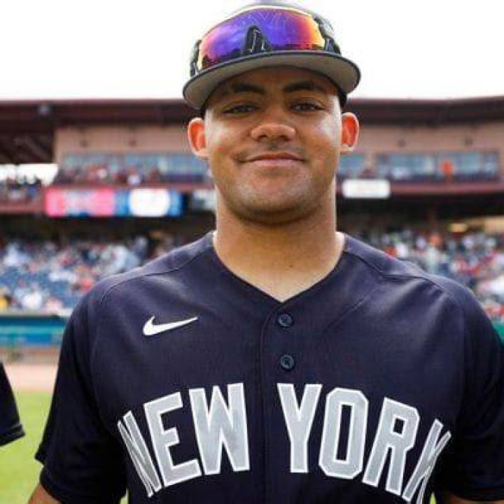 
Jasson Dominguez Age: How Old Is He? Baseball Player Debut And Career 